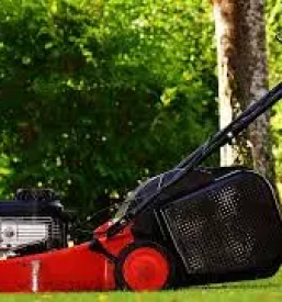 Vzdrzevanje parkov goriska