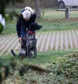 Vzgoja in prevzgoja psov maribor