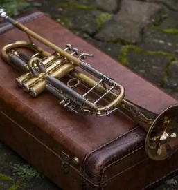 Wartung von blas und trompeteninstrumenten slowenien osterreich