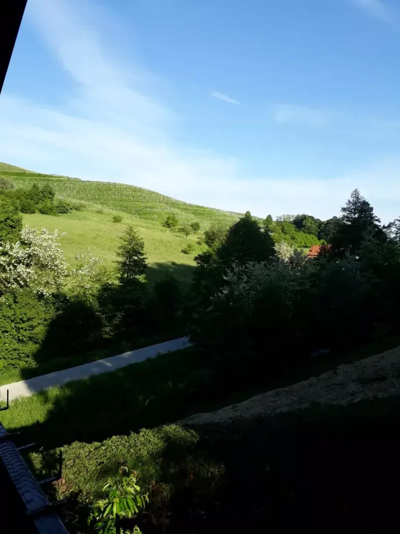Wellness Ljutomer