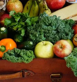 Wholesale of fruits and vegetables slovenia