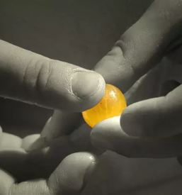 Wine goriska brda princic