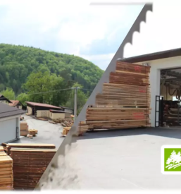 Zaganje lesa savinjska