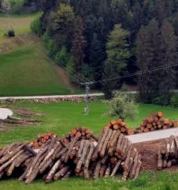 Zaganje lesa savinjska