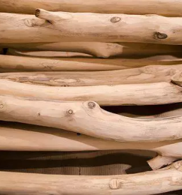 Zagarstvo ribnica na dolenjskem