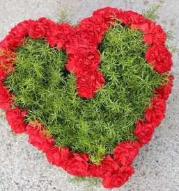 Zalni aranzmaji koroska