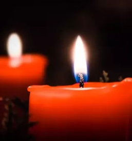 Zalni aranzmaji prevalje