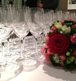 Dostava lončnic Novo mesto