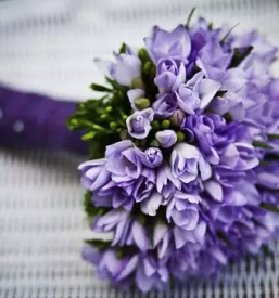 Zalno cvetje koroska