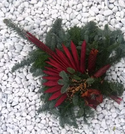 Zalno cvetje ptuj podravska