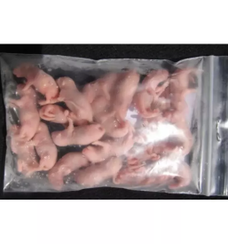 Zamrznjene misi in podgane slovenija