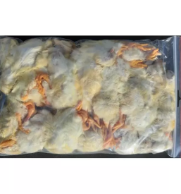 Zamrznjene misi in podgane slovenija