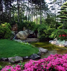 Zasaditev vrtov Gorenjska