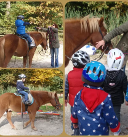 vrtec Ljubljana Šiška