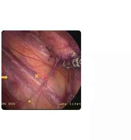 Zasebna ambulanta za urologijo 