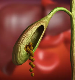 Zasebna ambulatna za abdominalno kirurgijo zahodna slovenija