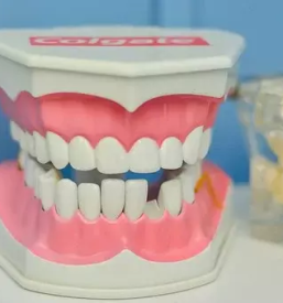 Zasebna zobozdravstvena ordinacija stajerska