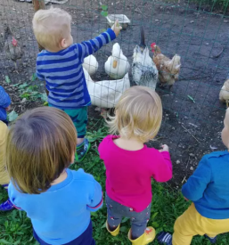Zasebno varstvo otrok gorenjska