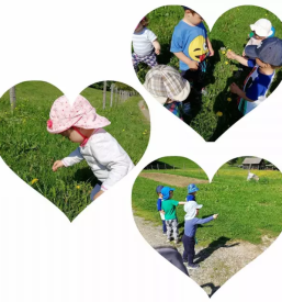 Zasebno dopoldansko varstvo otrok Gorenjska