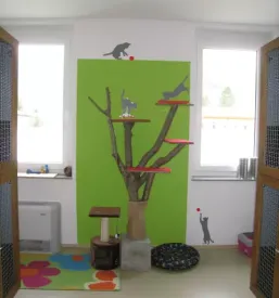Zavetisce za zapuscene zivali tolmin