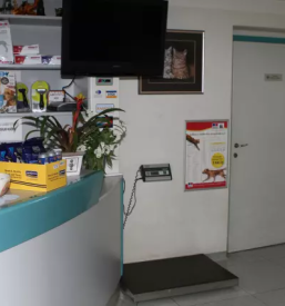 Zdravljenje eksotičnih živali slovenija