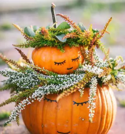 Zelenjavne sadike osrednja slovenija