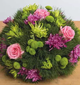 Zelenjavne sadike osrednja slovenija