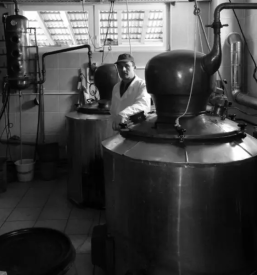 Bahne žgane pijače Slovenija