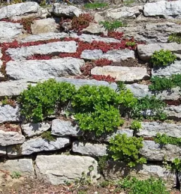 Zidarska dela notranjska nova vas