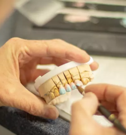 Zobotehnik Postojna, Primorska