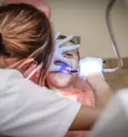 Zobozdravnica koroska