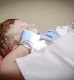 Zobozdravnik prebold