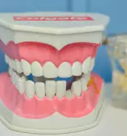 Zobozdravstvena ordinacija celje
