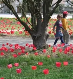 Izobrazevanje mladih celje