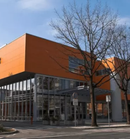 Umetniška gimnazija -  likovna smer