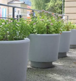 Splošna gimnazija Kočevje