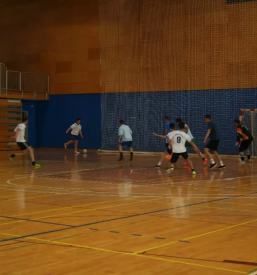 Gimnazijsko izobrazevanj kocevje