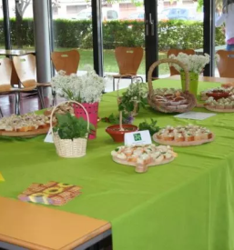 Izobrazevanje odraslih kocevje