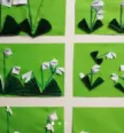 Osnovna sola mozirje