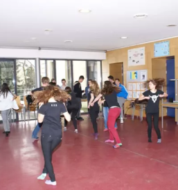 Splosna gimnazija kocevje