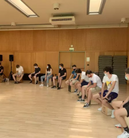 Program umetniške gimnazije