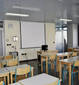 Umetniška gimnazija in programi