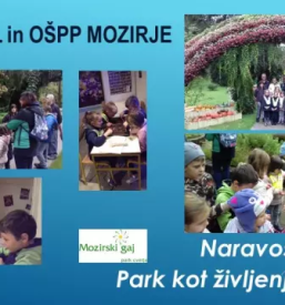 Vzgoja in izobrazevanje otrok mozirje