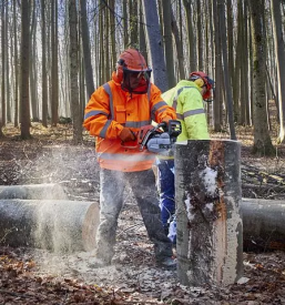 Gozdarske storitve kocevje