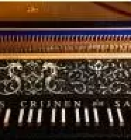 Kvalitetno glasbeno poucevanje osrednja slovenija