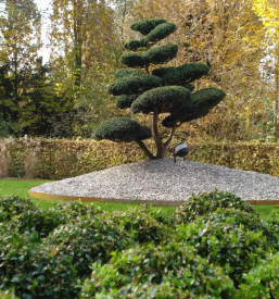 Prodaja sadnih in okrasnih rastlin v Črnomlju