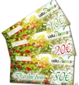 Prodaja sadnih in okrasnih rastlin Črnomelj