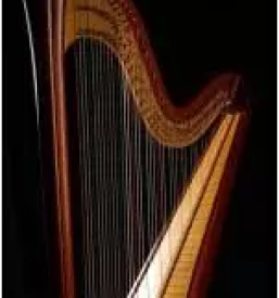 Vpis v glasbeno solo osrednja slovenija