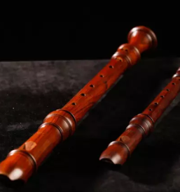 Najboljša glasbena šola Ljubljana