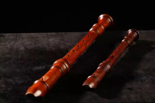 Glasbena šola Vič - Rudnik